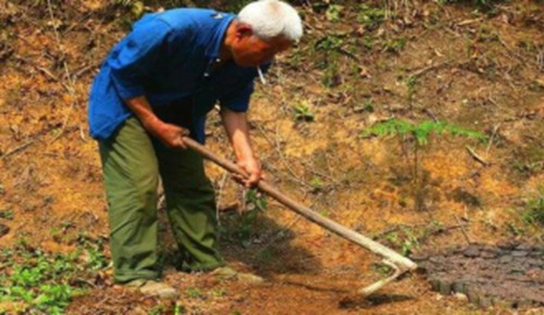 Cuốc đất đào được bình cổ bảo vật quốc gia, người nông dân tưởng nhầm bô đi tiểu suốt 26 năm. - Ảnh 2.