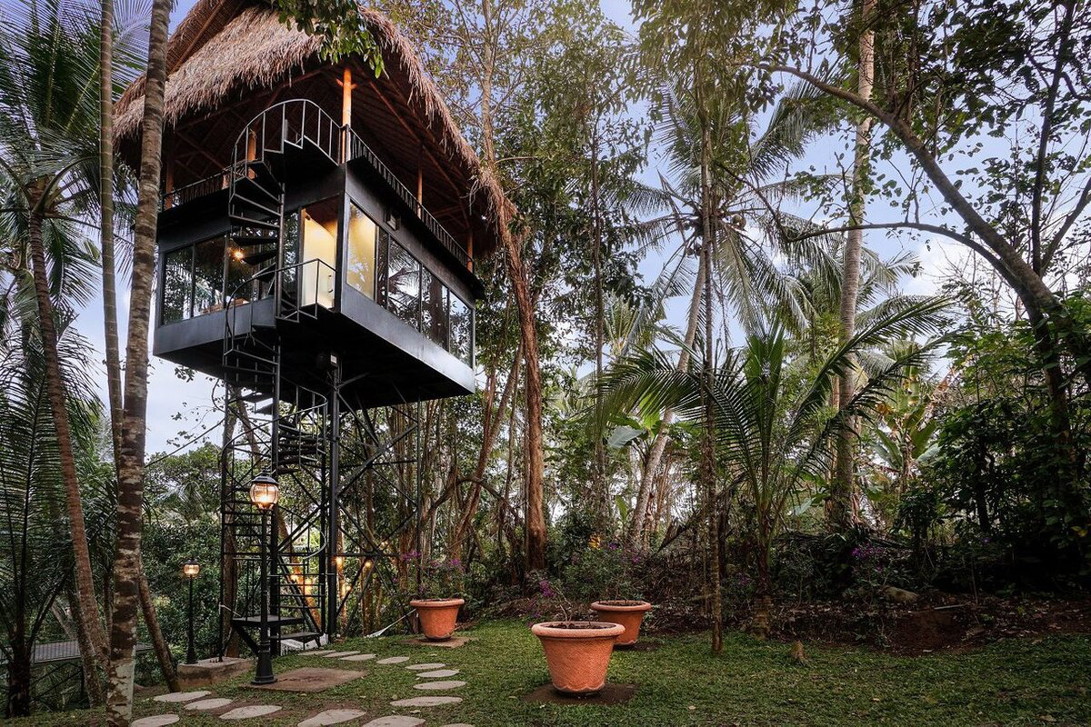 Khách sạn cây nằm giữa rừng Bali - Ảnh 2.