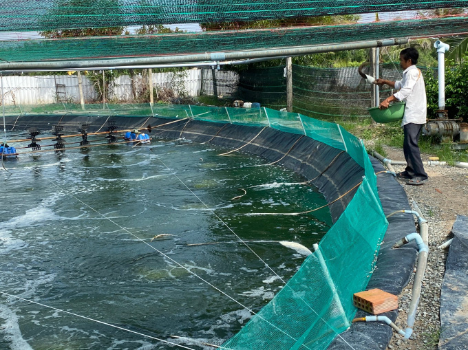 Nông dân thu tiền tỷ mỗi năm nhờ nuôi tôm công nghệ cao - Ảnh 3.