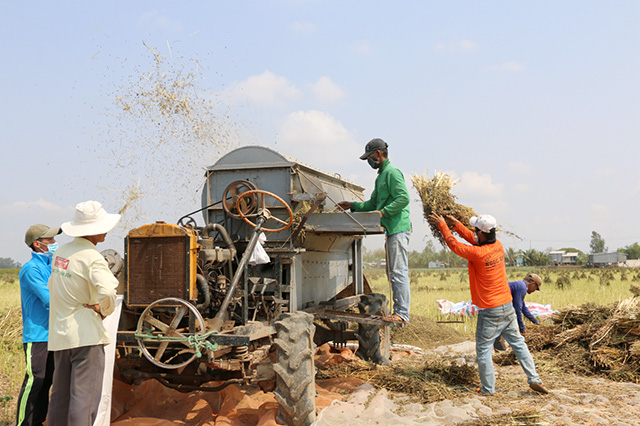 Đồng Tháp: Một nông dân trình độ lớp 2 sáng chế máy tuốt hạt mè, hạt rau muống bán đi khắp nơi thu tiền tỷ - Ảnh 2.