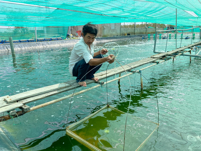 Nông dân thu tiền tỷ mỗi năm nhờ nuôi tôm công nghệ cao - Ảnh 1.