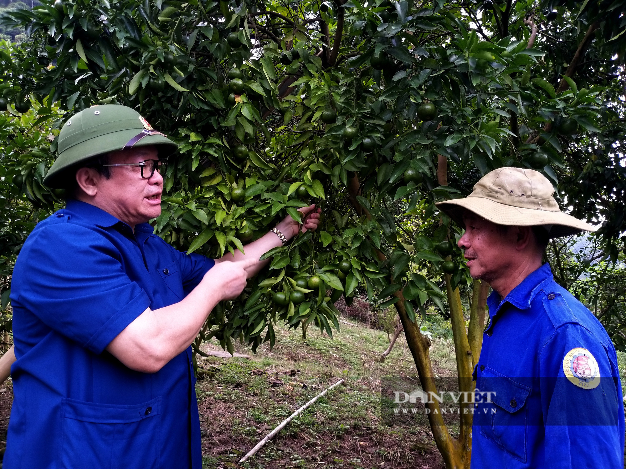 Chủ tịch Hội Nông dân Việt Nam thăm nông dân sản xuất giỏi ở Bắc Kạn - Ảnh 1.