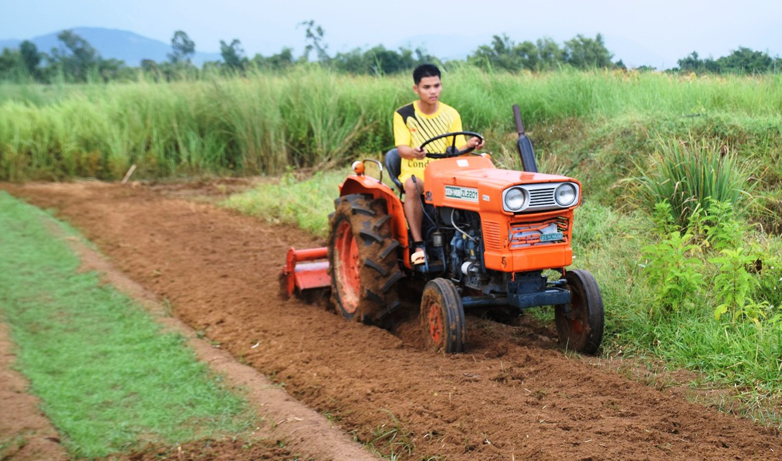 Đi Nhật học trồng rau, chàng trai Bình Định dùng ớt, sả, thuốc lá, tỏi, gừng… trị sâu bệnh gây hại - Ảnh 1.