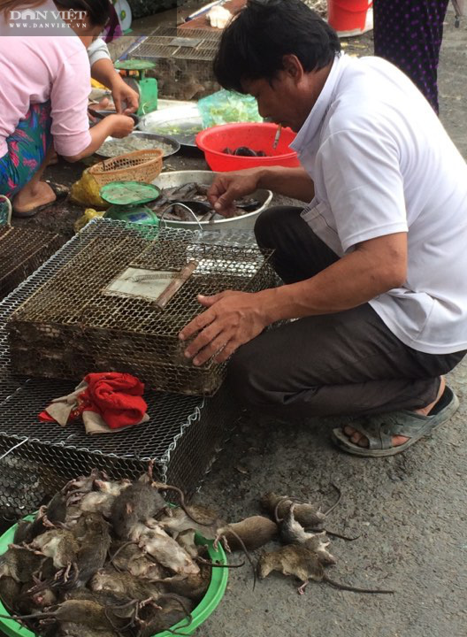 Đồng Tháp: Nước tràn đồng, dân tấp nập săn bắt chuột đồng, mối thu gom vài tạ chuột mỗi ngày bán giá cao - Ảnh 5.