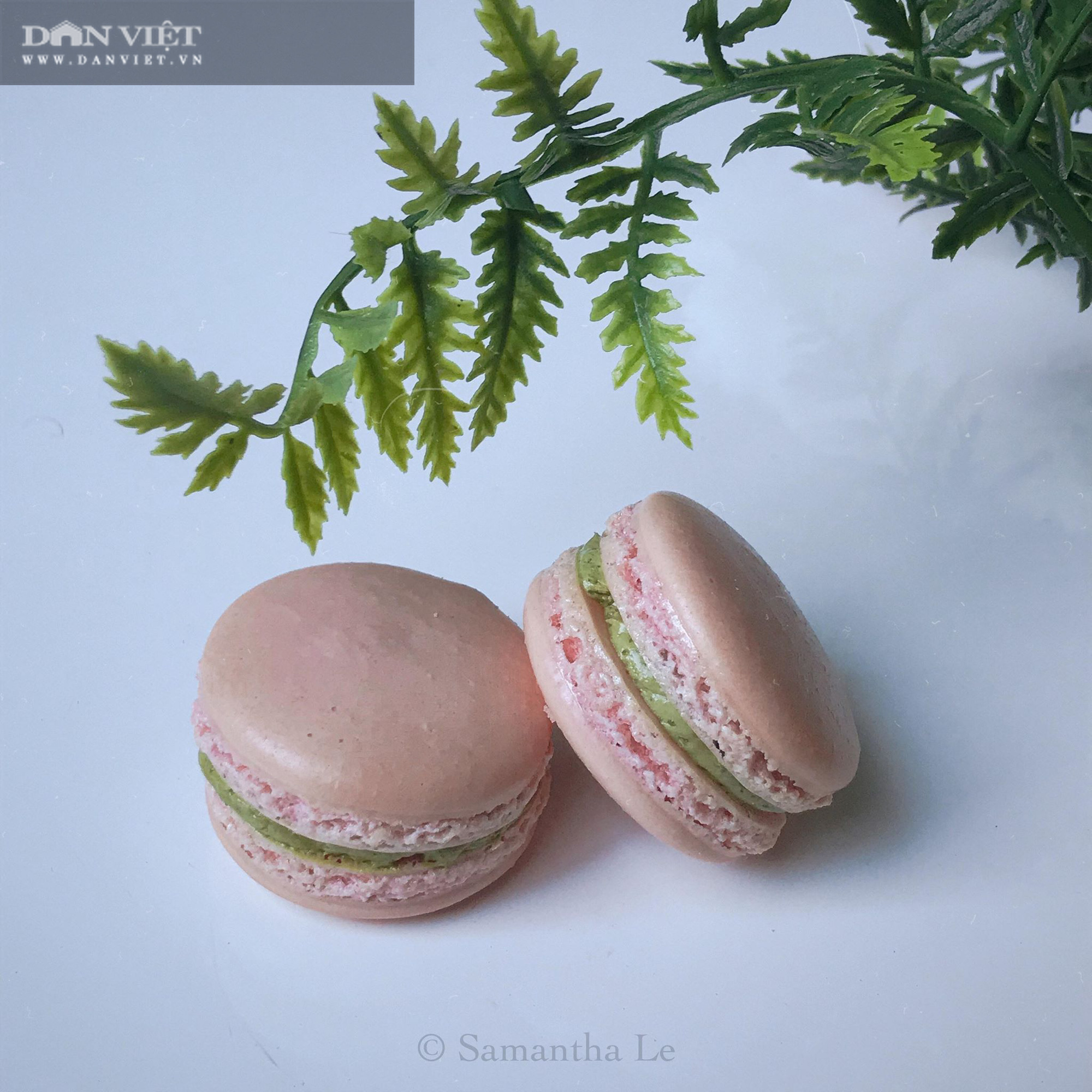 Cách làm món bánh Macaron chuẩn kiểu Pháp - Ảnh 2.