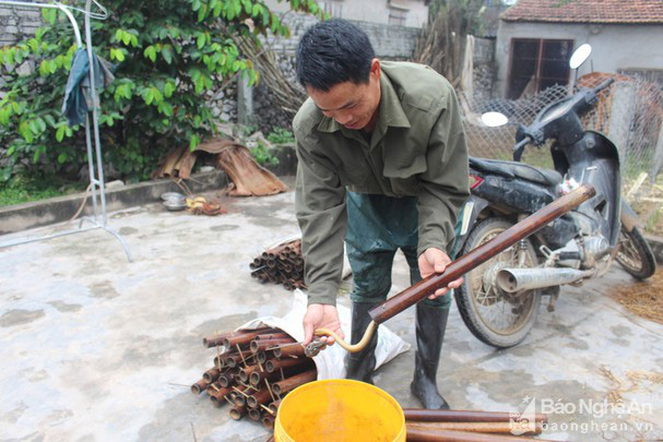 Nghệ An: Gặp &quot;cao thủ&quot; làm trúm bắt lươn đồng, bẫy đâu trúng đó, lươn chui vào hết đường thoát - Ảnh 3.