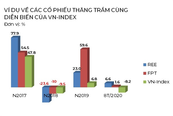 Đầu tư dài hạn và cơ hội đem lại lợi nhuận lớn trên thị trường chứng khoán Việt Nam - Ảnh 2.