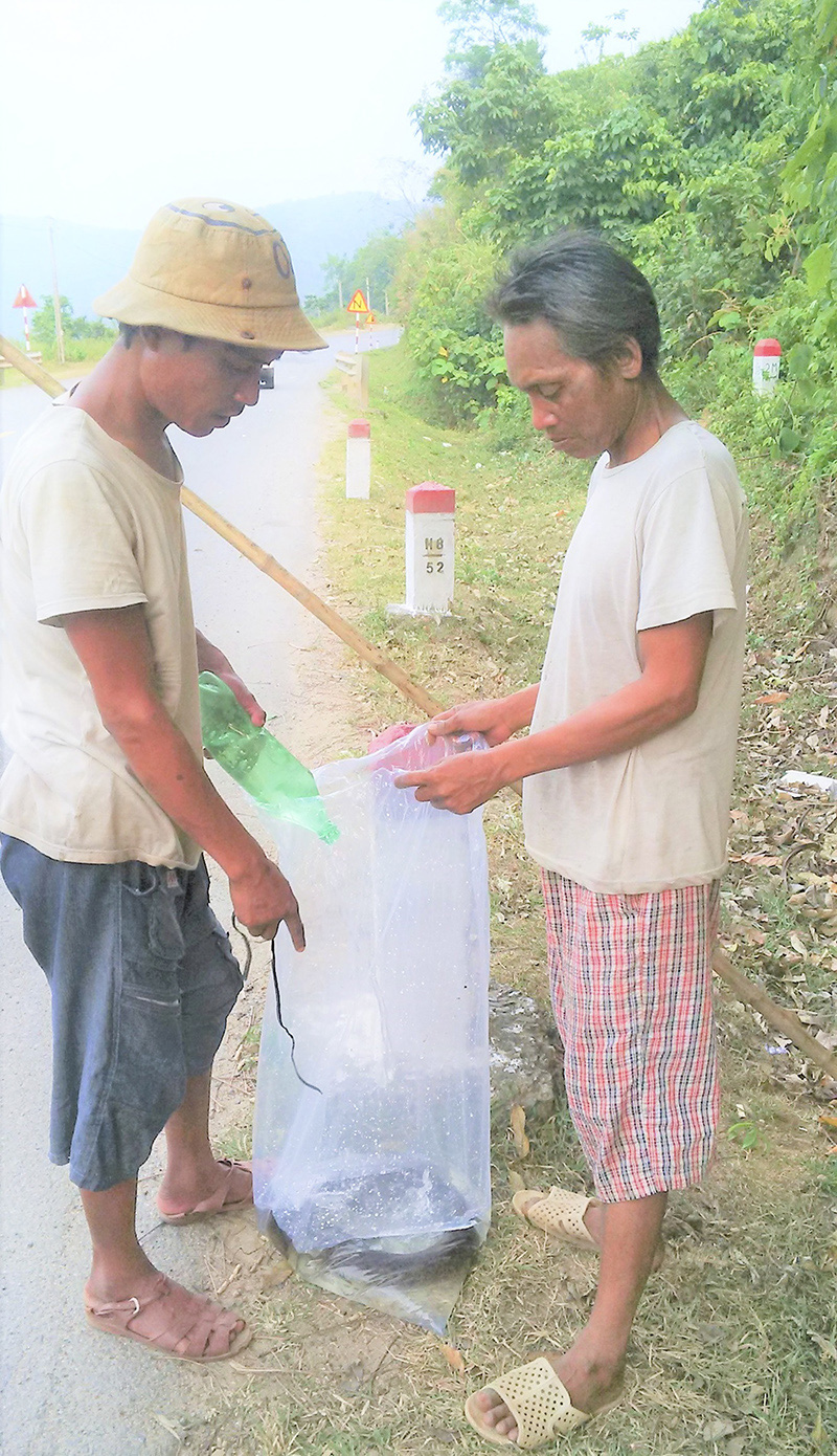 Quảng Trị: Trời tối đi &quot;săn&quot; loài cá chình suối-đặc sản núi rừng hiếm có khó tìm - Ảnh 1.