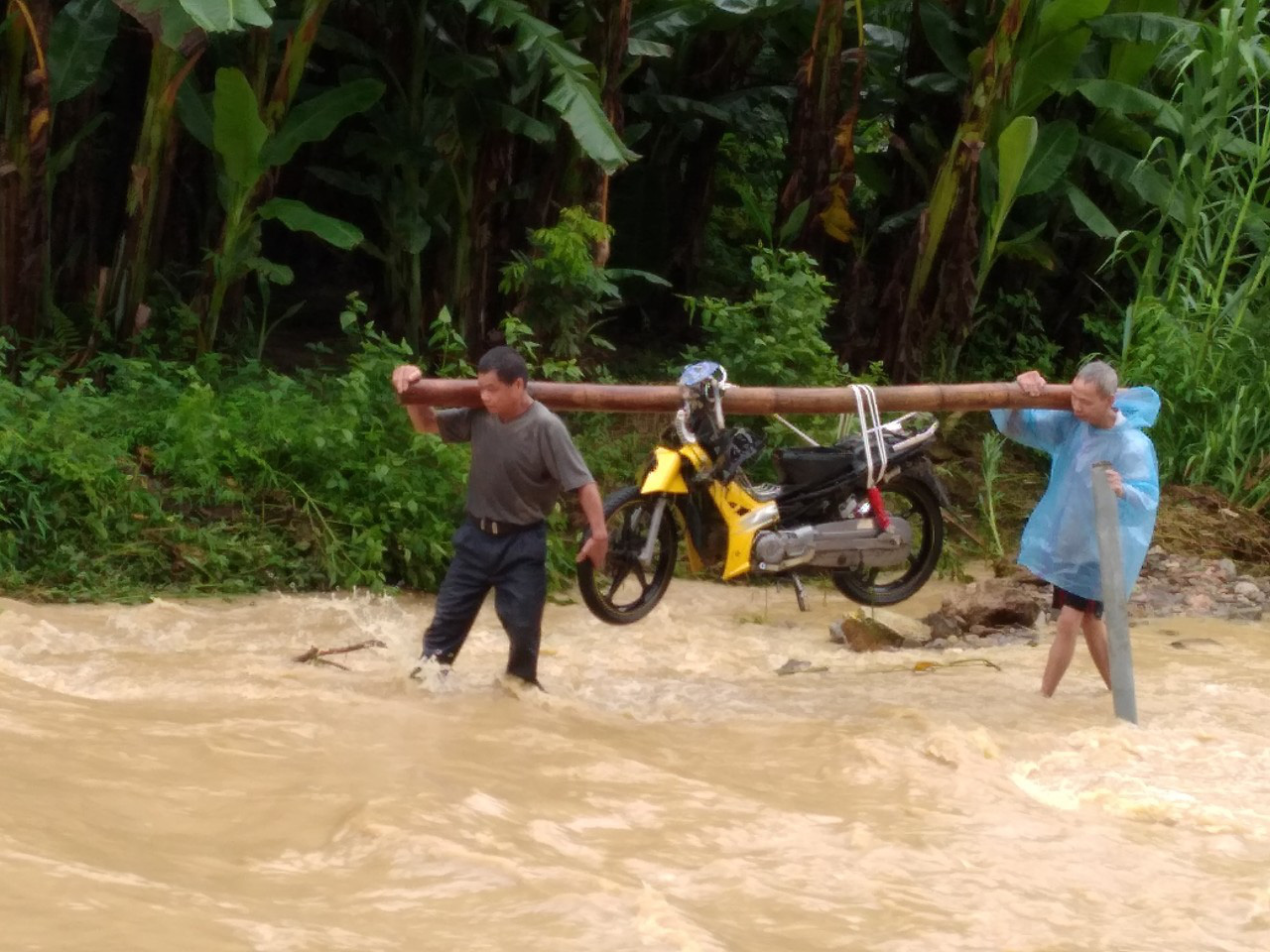 Mưa lũ ở Yên Bái: Sạt lở taluy, nhiều công trình, hoa màu bị tàn phá - Ảnh 2.