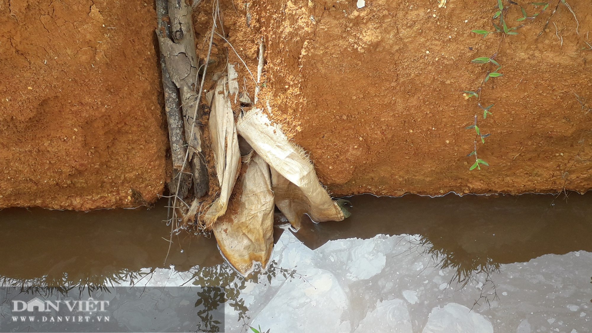 Thái Nguyên: Chết hàng chục tấn cá nghi do ao bị nhiễm nguồn nước độc lạ - Ảnh 5.
