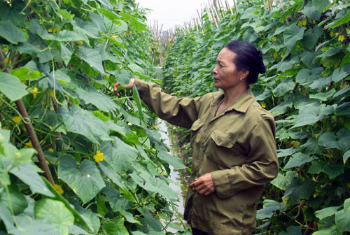 Bắc Ninh: Đề nghị công nhận huyện cuối cùng đạt chuẩn nông thôn mới - Ảnh 2.