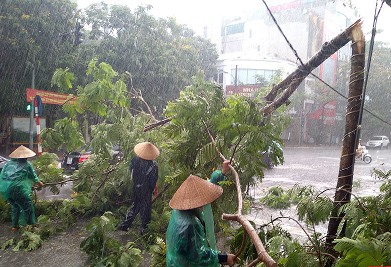 Quảng Bình: 4 người dân tộc trốn bão số 5 vào rừng, 1 phụ nữ chặt cây ngã sọ não - Ảnh 1.