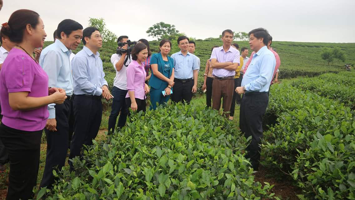 &quot;Làm không đúng quy trình, những lá phiếu sẽ thành thứ để trù dập nhau&quot; - Ảnh 1.