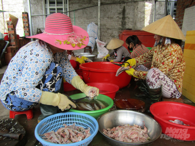 Giáo viên mầm non nuôi cá lóc khép kín lãi cả tỷ đồng - Ảnh 1.