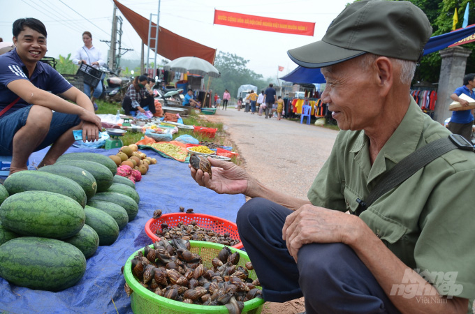 Những phiên chợ bán đặc sản... ốc sên - Ảnh 3.