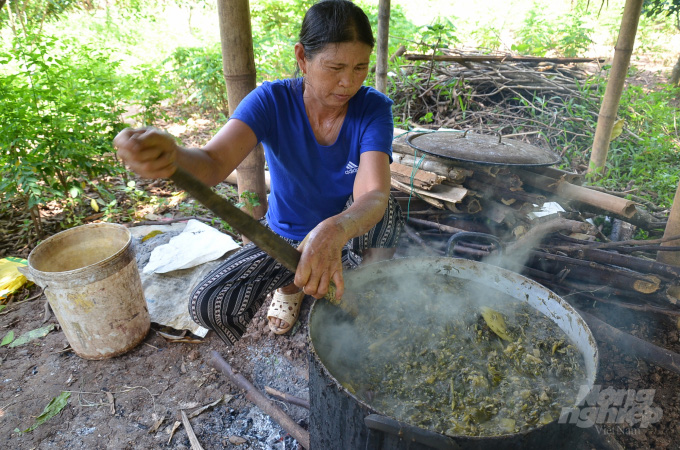 Lợn đen Mường Pa 'đi ủng' màu trắng ở huyện Mai Châu - Ảnh 5.