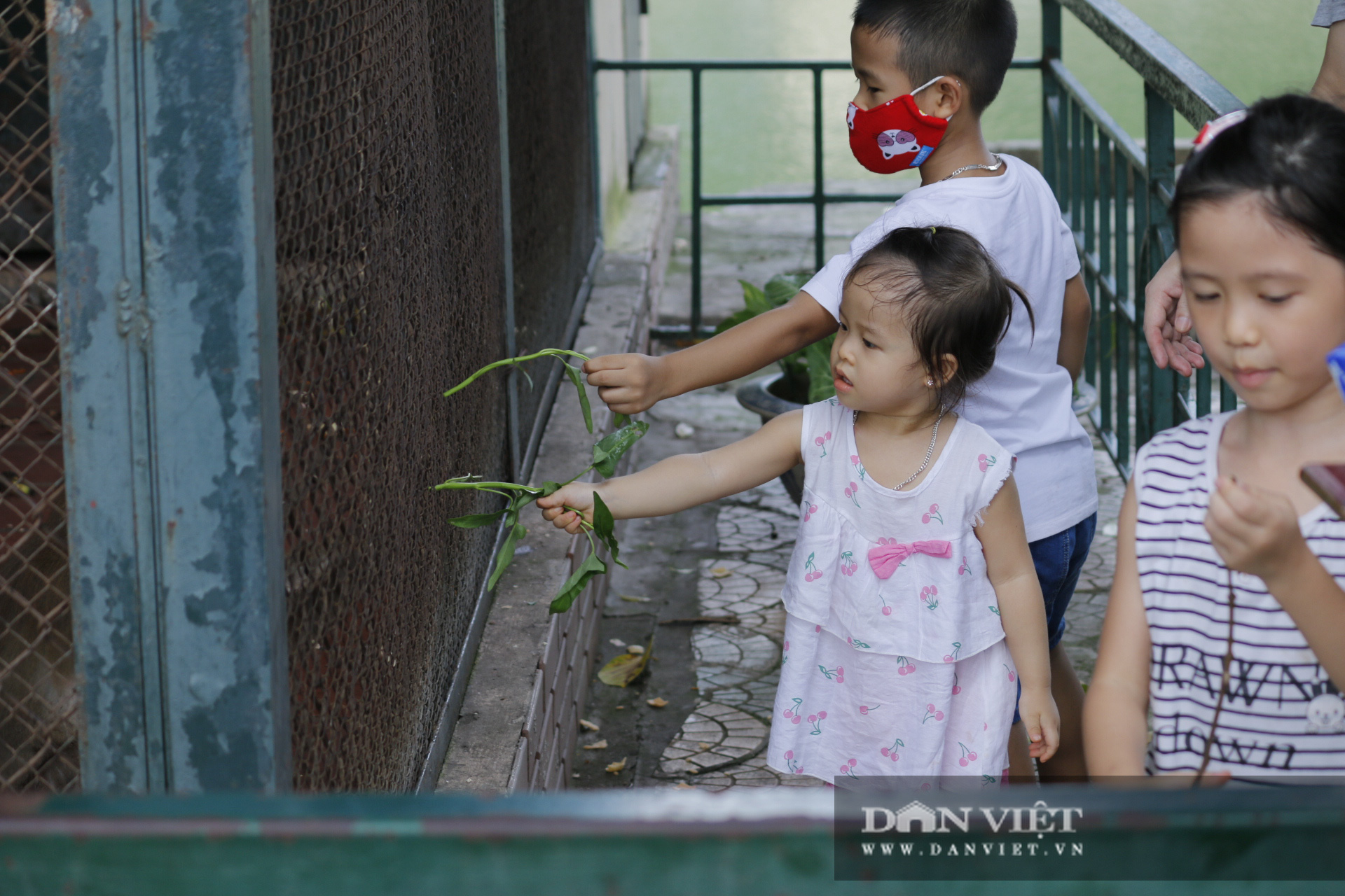 Công viên Thủ Lệ “nghẹt thở”, người dân thờ ơ với việc đeo khẩu trang - Ảnh 4.