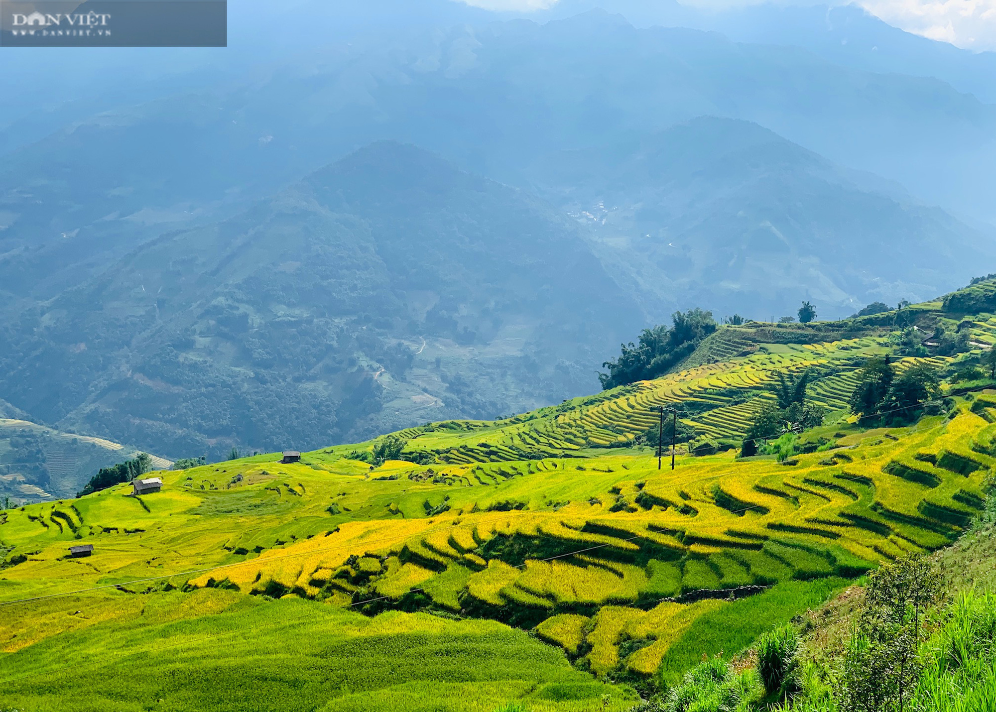 Mùa vàng nơi biên giới - Ảnh 9.