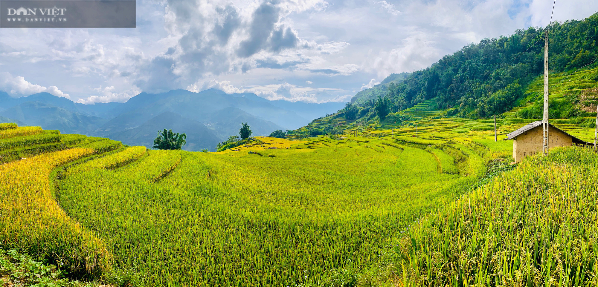 Mùa vàng nơi biên giới - Ảnh 8.