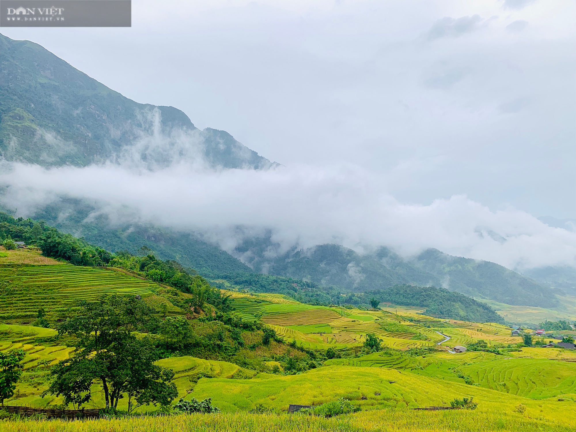 Mùa vàng nơi biên giới - Ảnh 7.