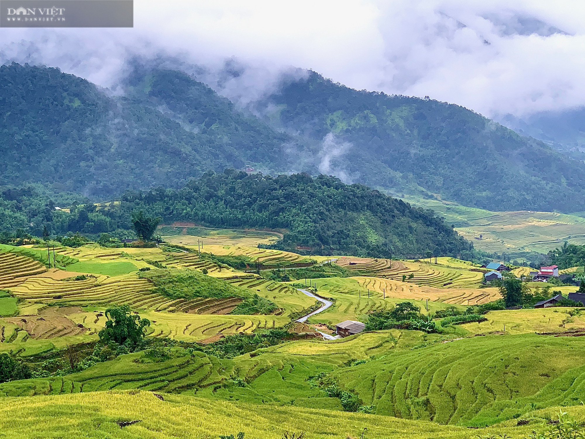 Mùa vàng nơi biên giới - Ảnh 6.