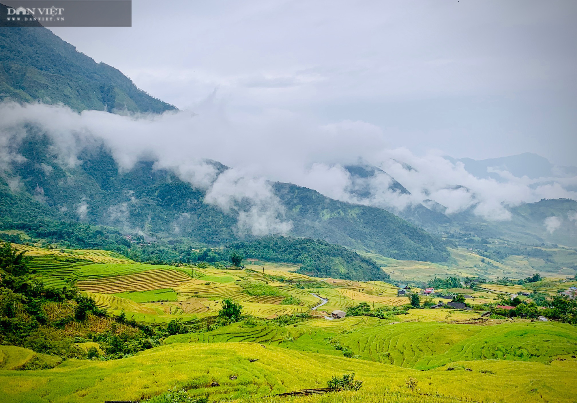 Mùa vàng nơi biên giới - Ảnh 5.