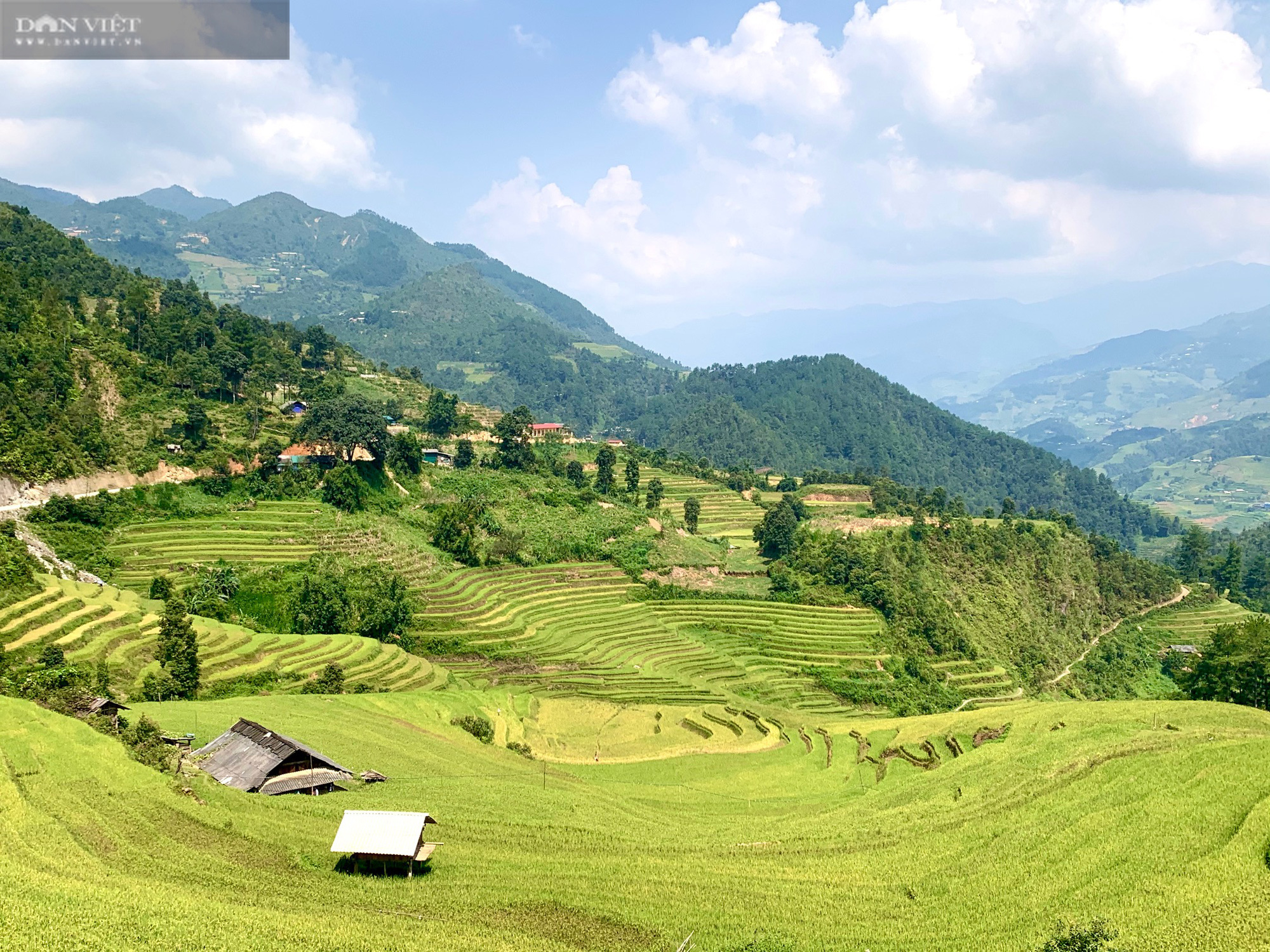 Mùa vàng nơi biên giới - Ảnh 2.