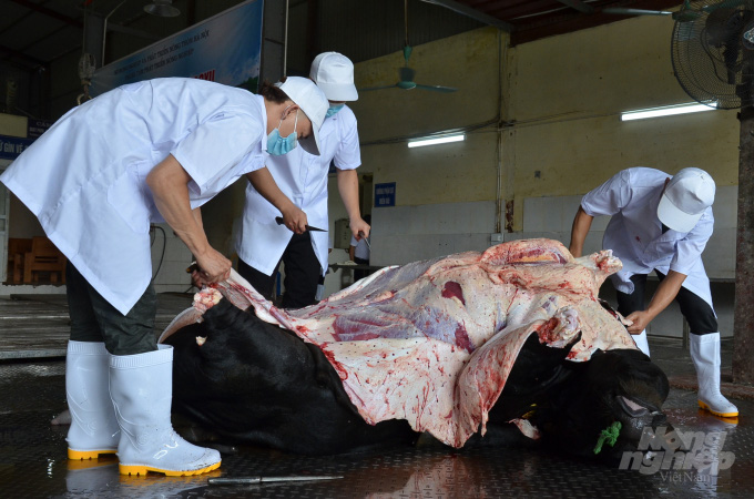 Lần đầu mổ bò Nhật giá tiền triệu ở Hà Nội: Ai cũng hồi hộp - Ảnh 1.