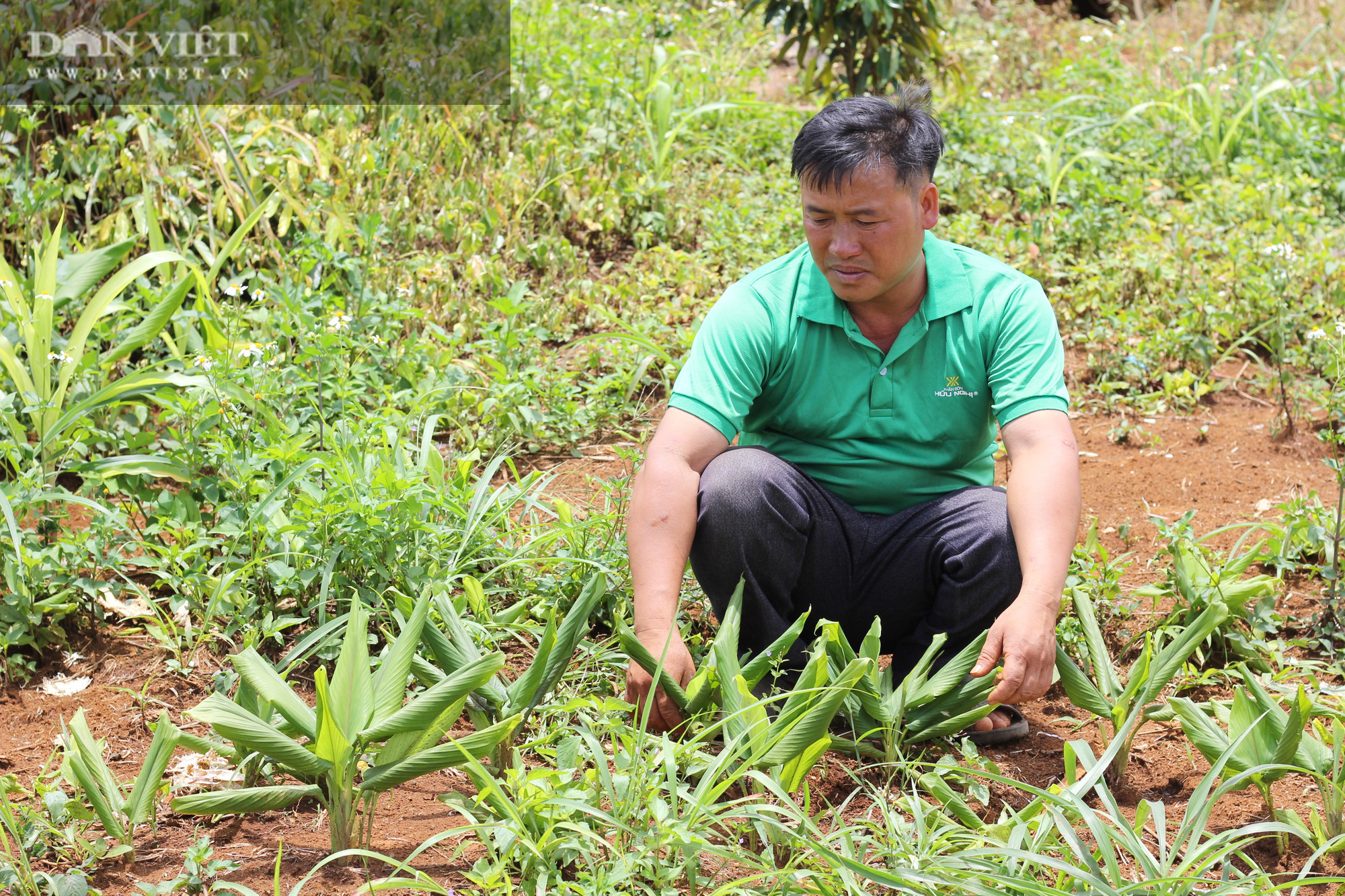 Đắk Nông 