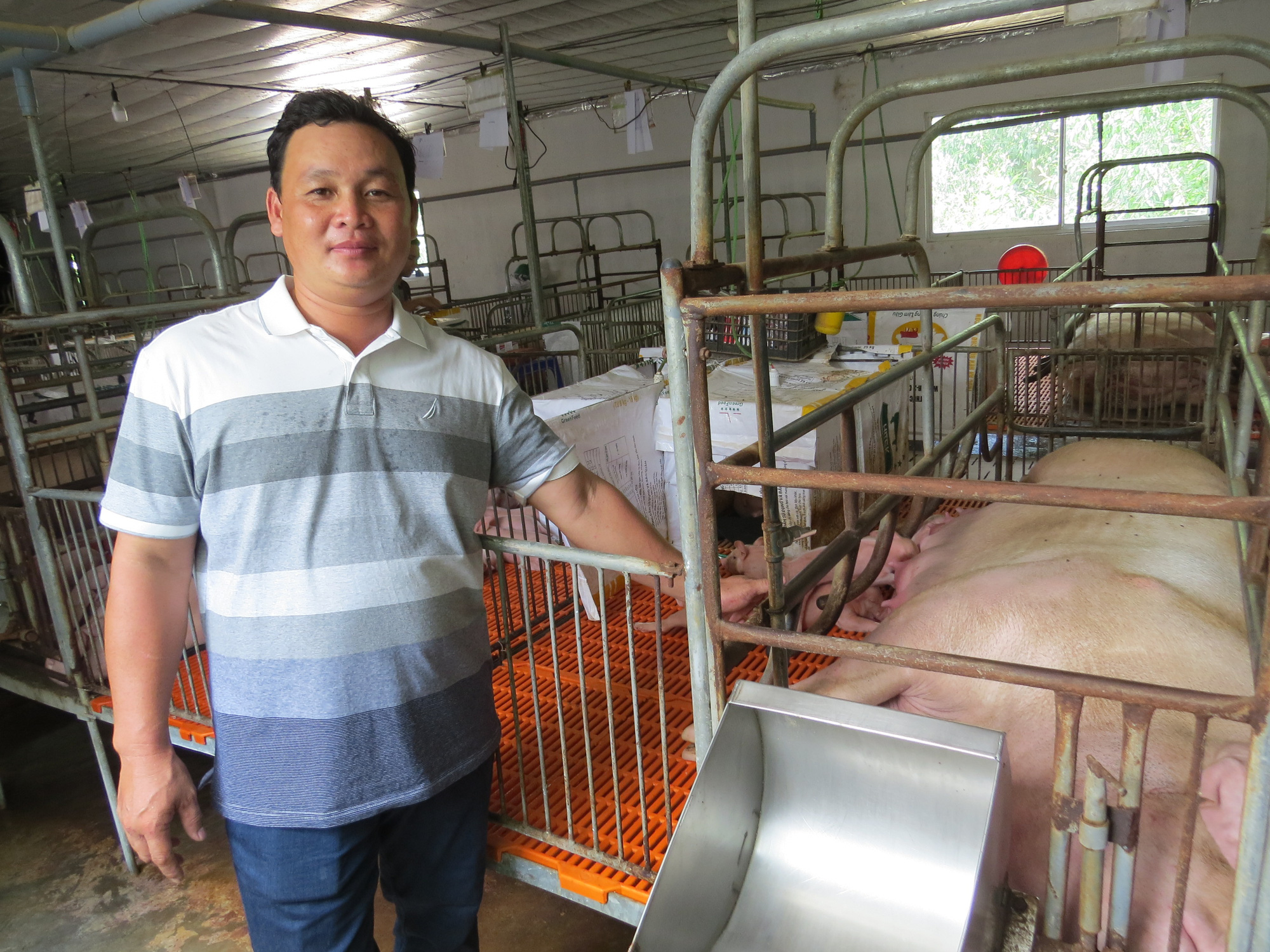 Nông dân Việt Nam xuất sắc 2020: Tỷ phú nuôi heo tuổi 30 ở Phú Yên - Ảnh 2.