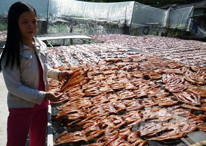 Vừa dạy mầm non vừa nuôi cá lóc khép kín, cô giáo thu lãi cả tỷ đồng - Ảnh 3.