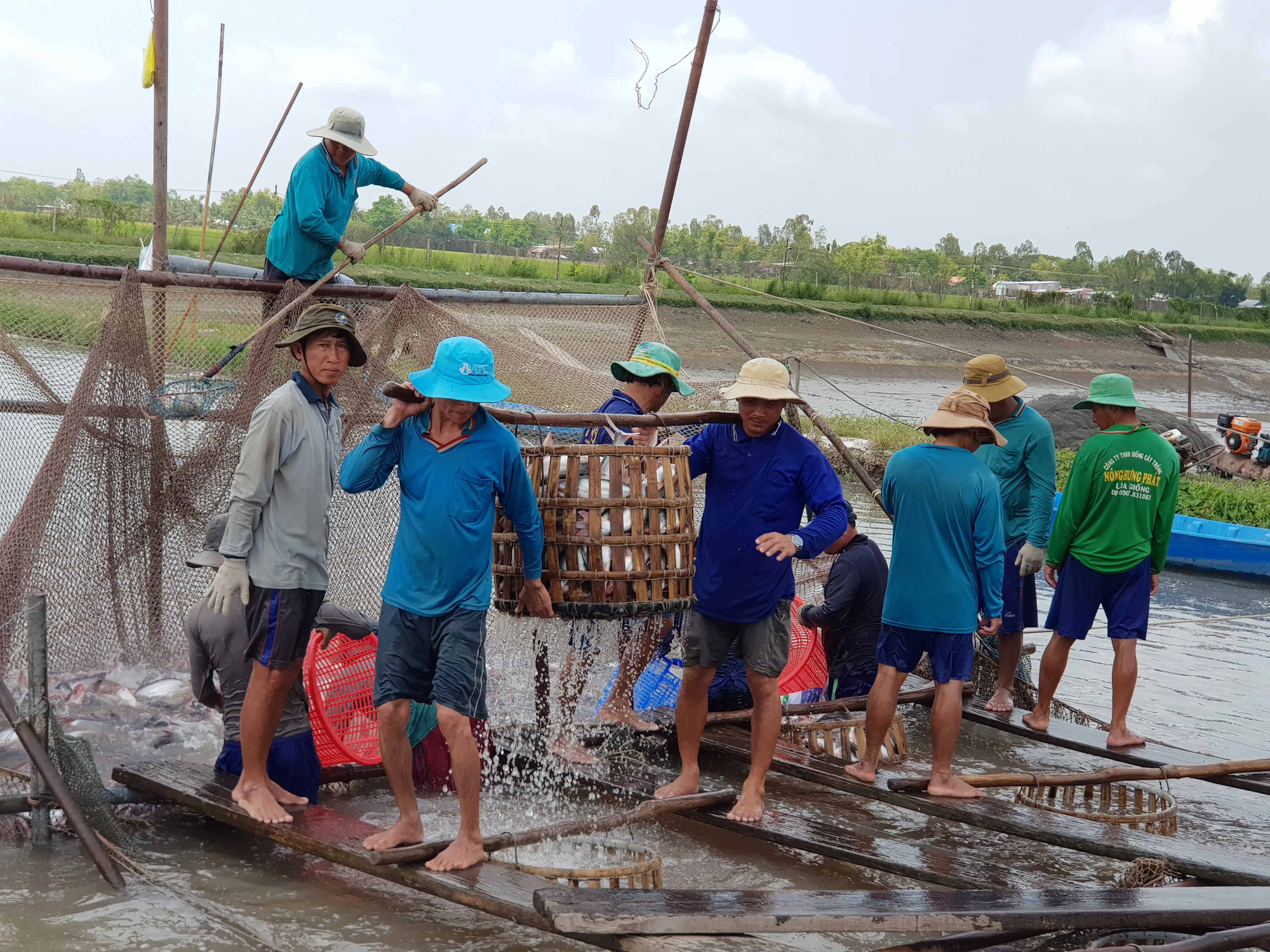 An Giang: Lấy nông nghiệp và du lịch làm nền tảng, động lực phát triển kinh tế - Ảnh 3.