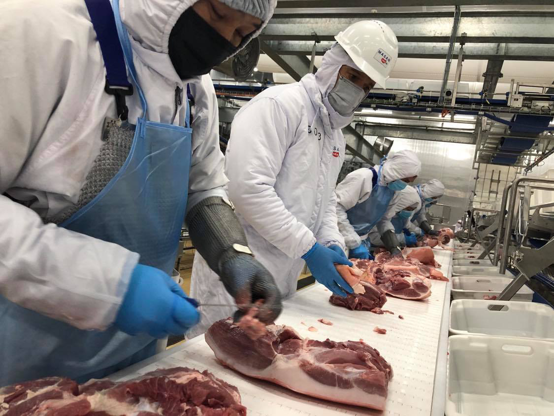 Bên trong nhà máy lạnh 4 độ C chế biến thịt mát, vốn đầu tư 1.800 tỷ sắp khánh thành - Ảnh 5.