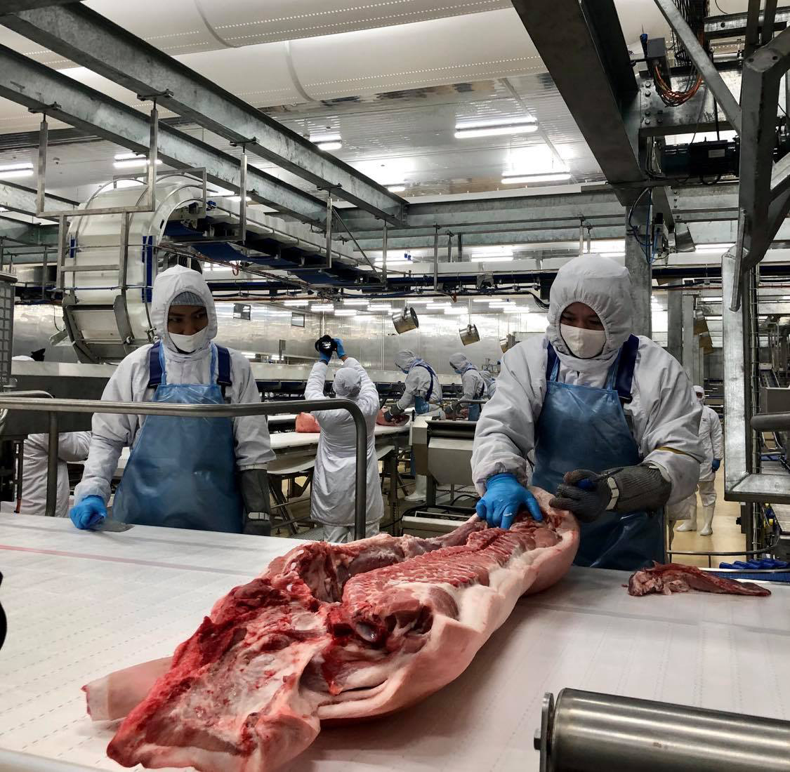 Bên trong nhà máy lạnh 4 độ C chế biến thịt mát, vốn đầu tư 1.800 tỷ sắp khánh thành - Ảnh 3.