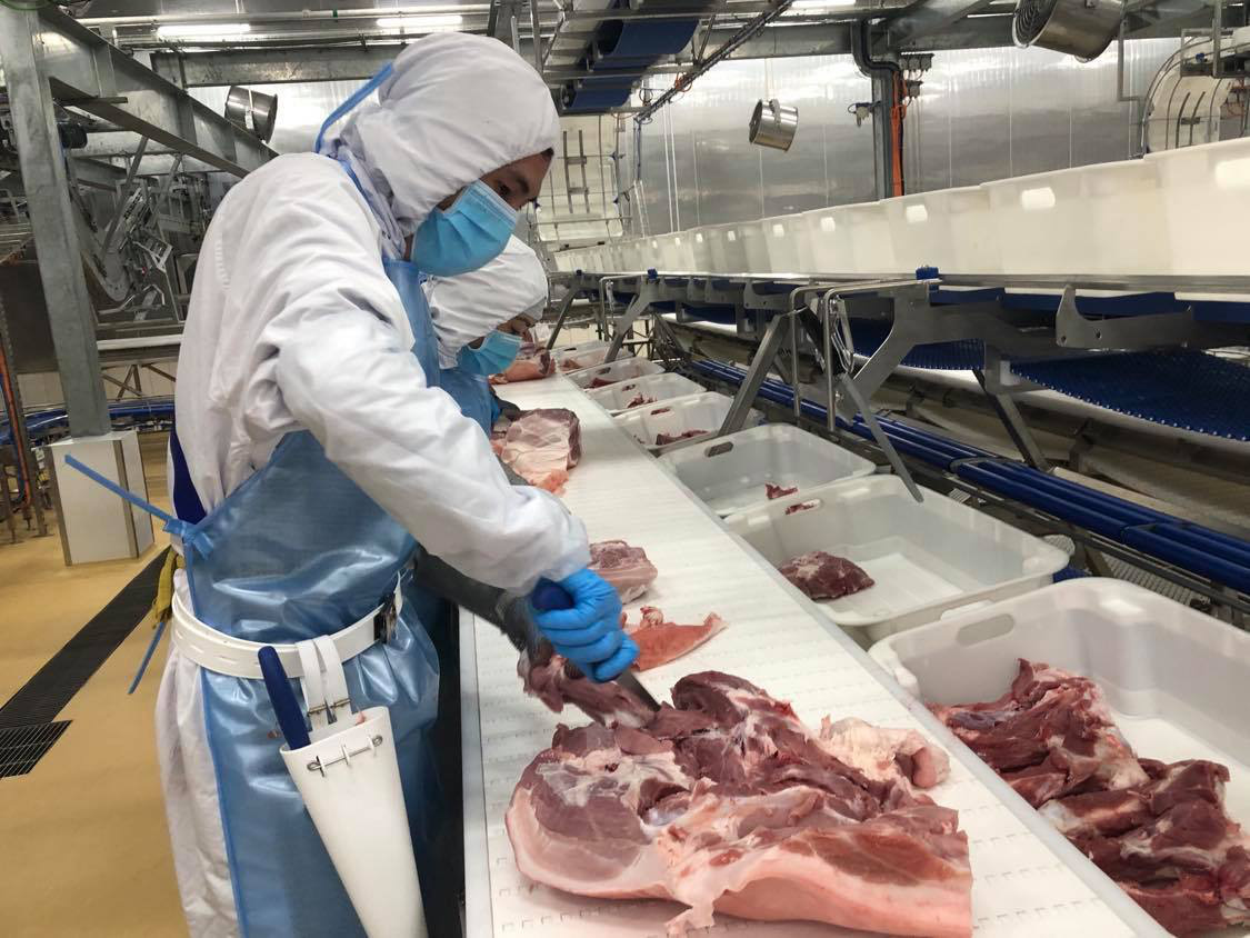Bên trong nhà máy lạnh 4 độ C chế biến thịt mát, vốn đầu tư 1.800 tỷ sắp khánh thành - Ảnh 6.