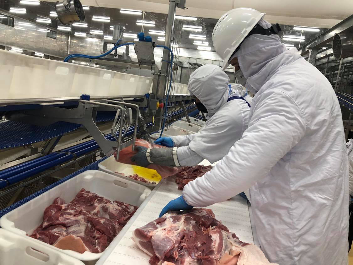 Bên trong nhà máy lạnh 4 độ C chế biến thịt mát, vốn đầu tư 1.800 tỷ sắp khánh thành - Ảnh 7.