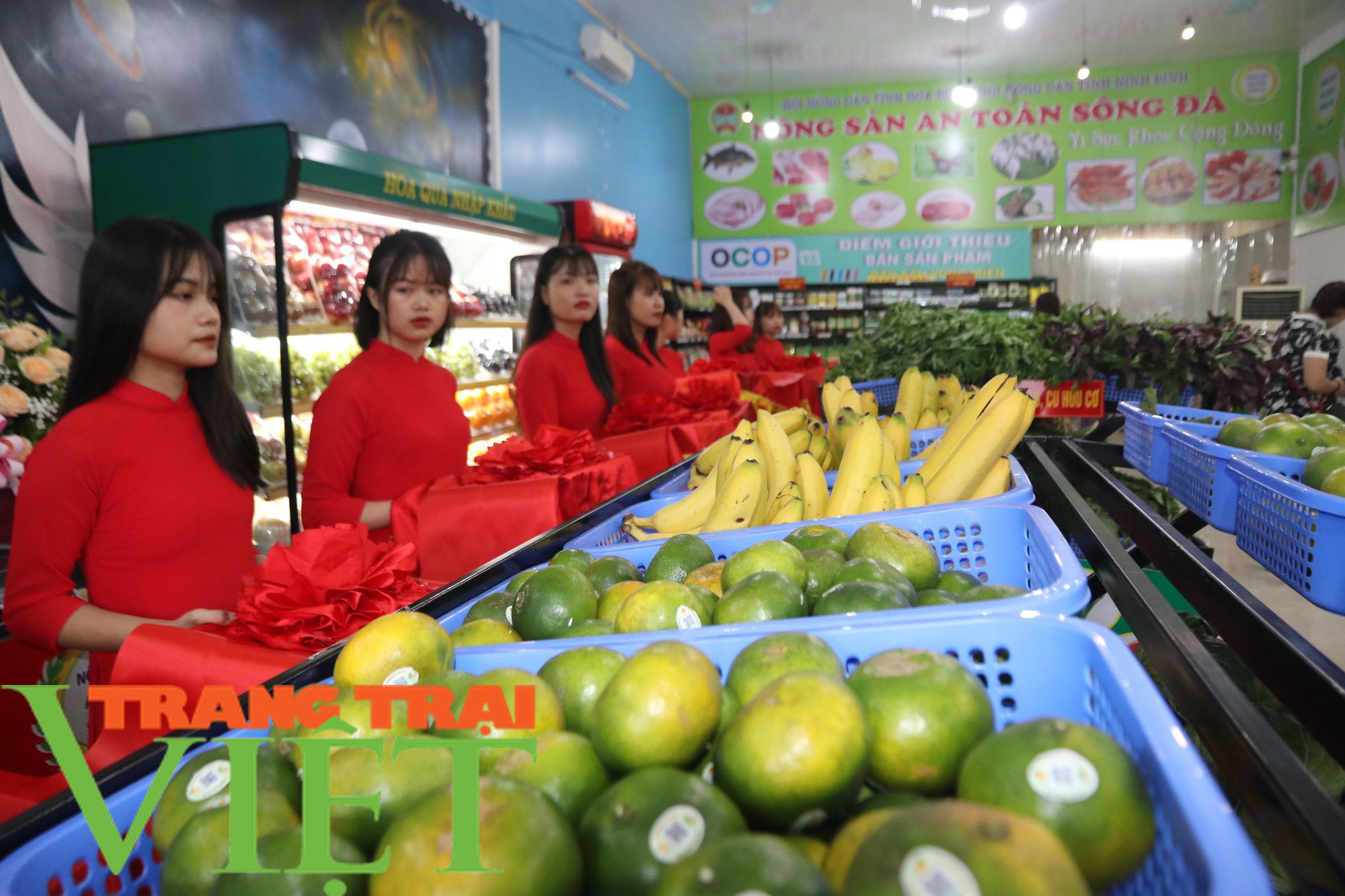 Khai trương cửa hàng nông sản an toàn Sông Đà  - Ảnh 6.
