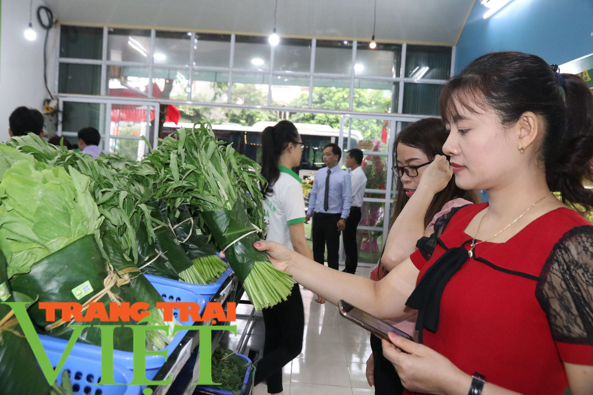 Khai trương cửa hàng nông sản an toàn Sông Đà - Ảnh 5. Khai trương cửa hàng nông sản an toàn Sông Đà - Ảnh 5.