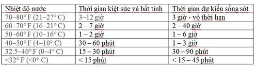 Bí kíp thoát thân khi tàu thuyền bị chìm giữa biển - Ảnh 11.