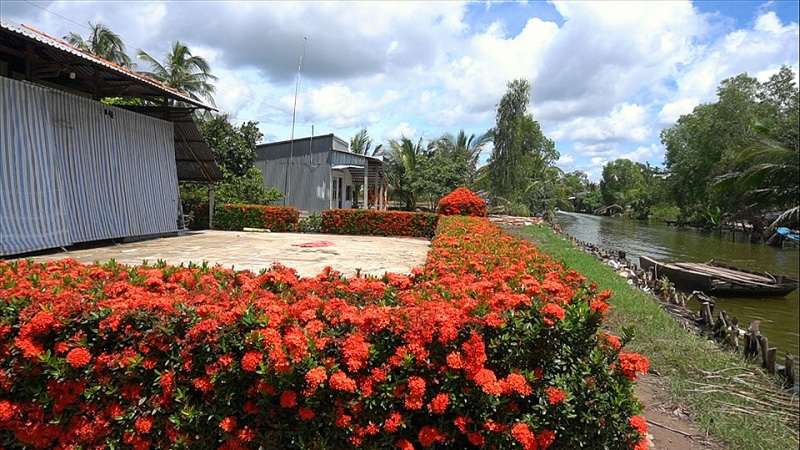 Kiên Giang: Chiêm ngưỡng ngôi nhà quê với hàng rào độc khiến thị dân chỉ biết ước - Ảnh 5.