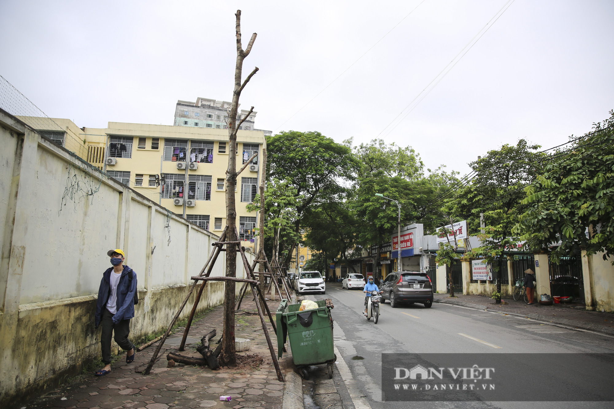 Hà Nội: Nhiều cây xanh trồng mới có dấu hiệu chết khô  - Ảnh 3.