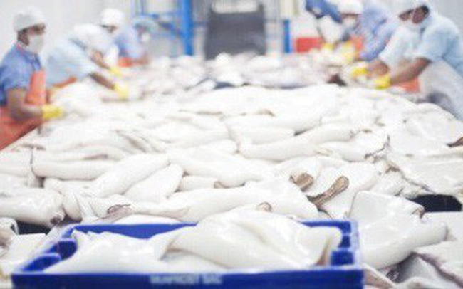 Xuất khẩu mực, bạch tuộc sang Hàn Quốc tăng mạnh - Ảnh 1.