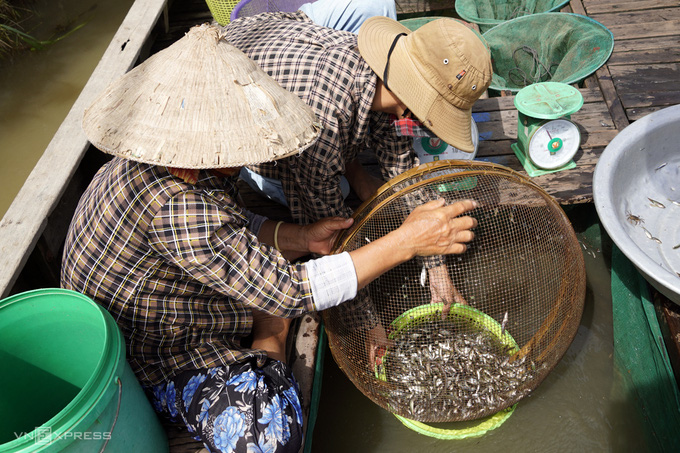 Đồng bằng sông Cửu Long 'đói' lũ - Ảnh 2.