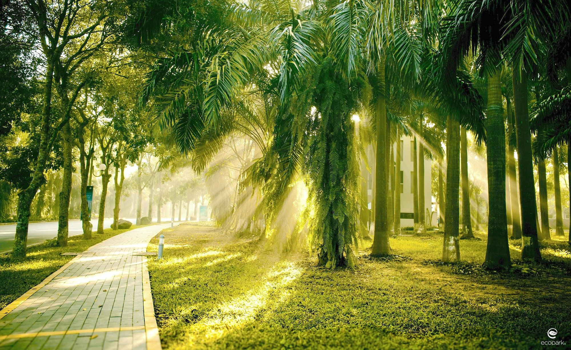 Ecopark  Nơi thiên nhiên hòa quyện vào cuộc sống của con người  Môi  trường  Vietnam VietnamPlus