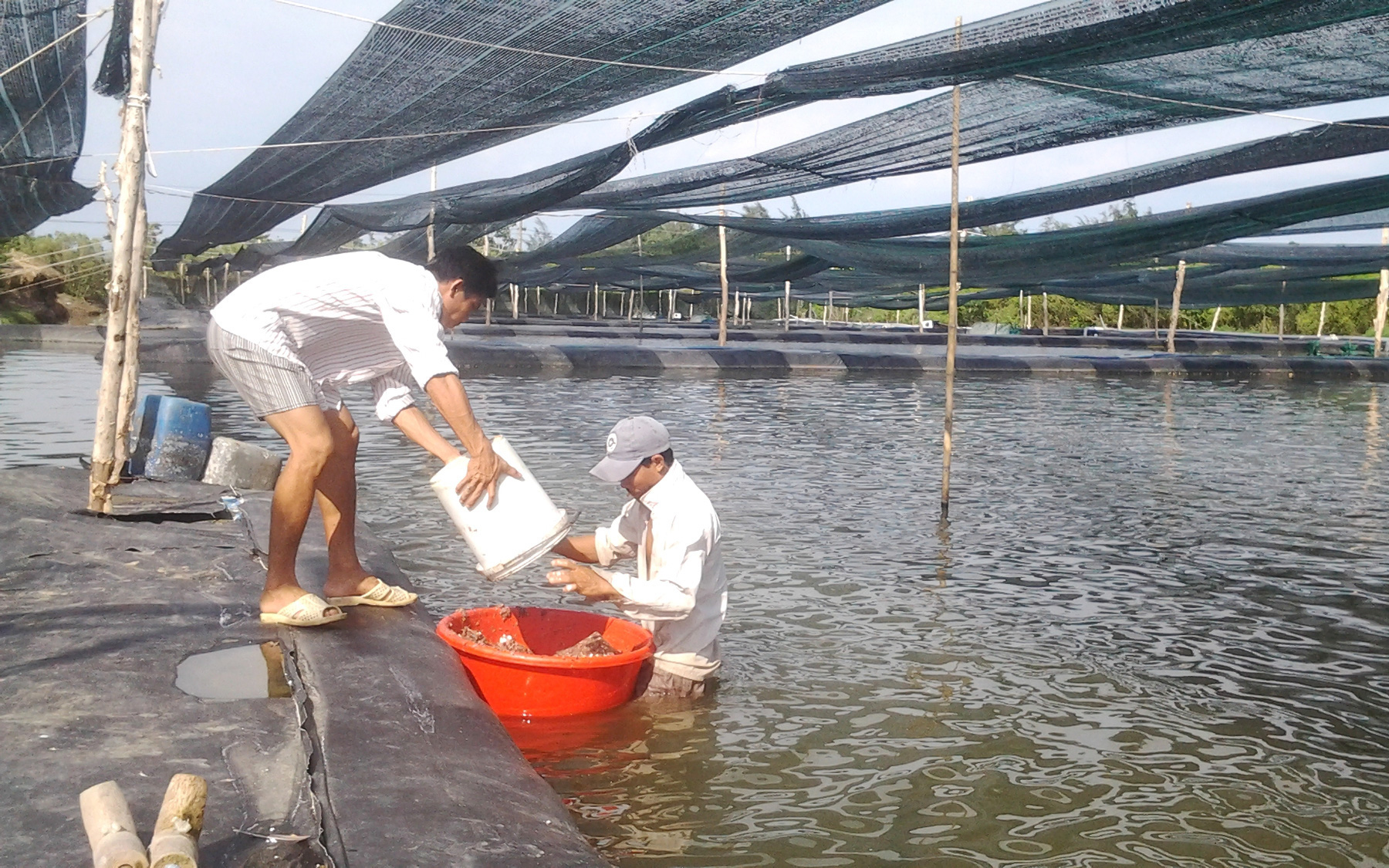 TP.HCM cấp “thuốc” hạ nhiệt cơn sốt xây dựng công trình phụ trợ trên đất nông nghiệp cho nông dân - Ảnh 2.