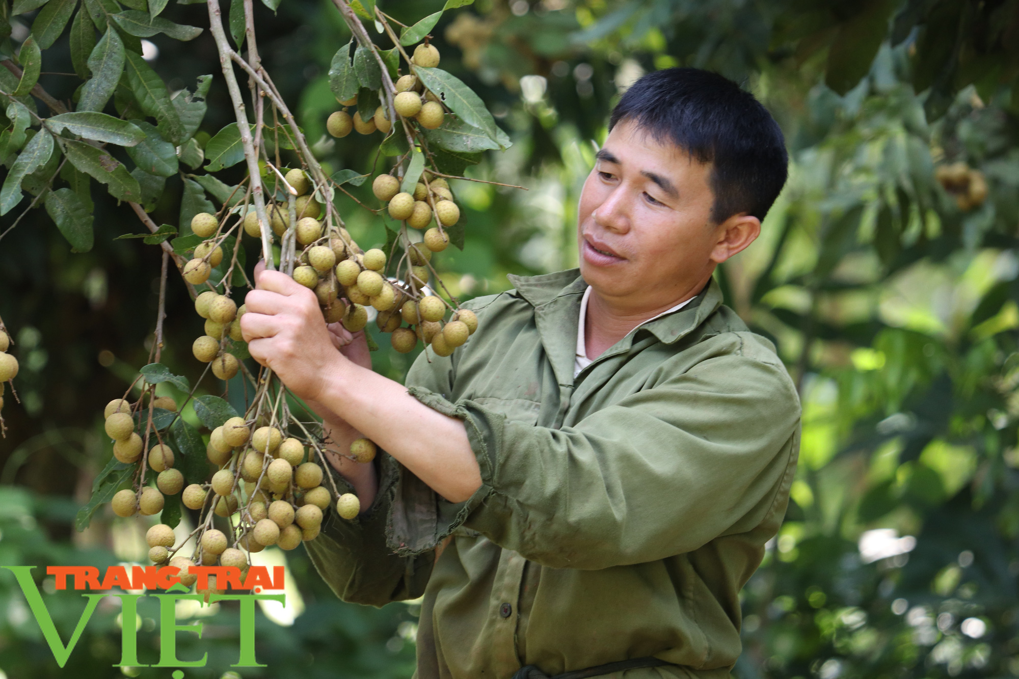 Bộ trưởng Bộ NNPTNT: Trồng trọt không có phân chuồng, không đời nào đạt tiêu chuẩn cao nhất - Ảnh 2.