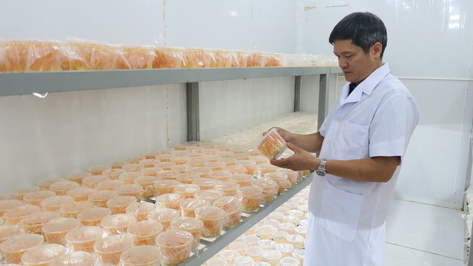 Pate Minh Chay làm từ chân nấm hương: Chuyên gia khẳng định hàm lượng dinh dưỡng rất thấp - Ảnh 1.