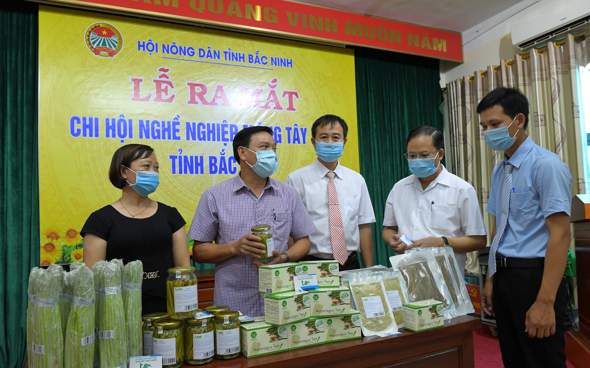 Bắc Ninh: Nông dân trồng măng tây xanh lập chi hội nghề nghiệp, quyết chơi lớn với loại "rau hoàng đế" 
