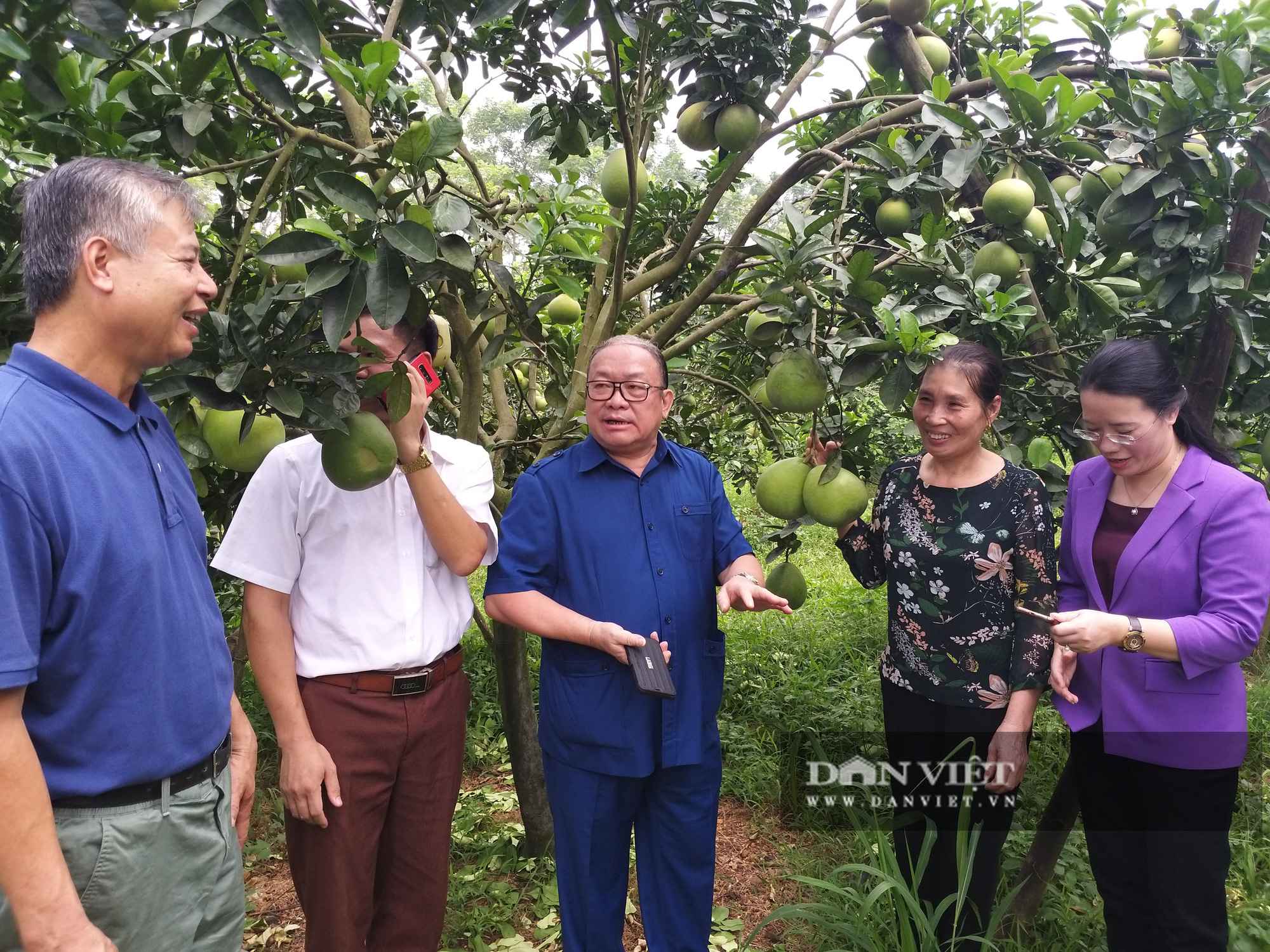 Bà chủ mô hình tổ hợp nông nghiệp độc đáo được Chủ tịch Hội Nông dân Việt Nam đến nhà vinh danh là ai? - Ảnh 5.