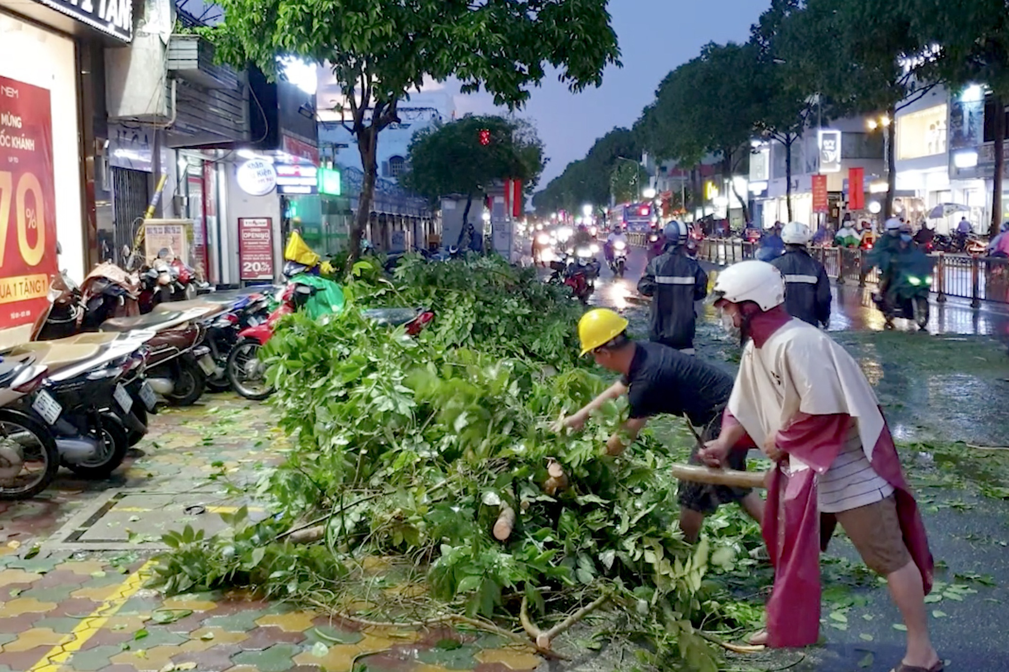 Cây đổ &quot;quật ngã&quot; 2 thanh niên trong cơn mưa - Ảnh 1.